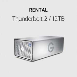 렌탈 스토리지 지테크놀로지 G-RAID 12TB
