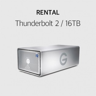 렌탈 스토리지 지테크놀로지 G-RAID 16TB